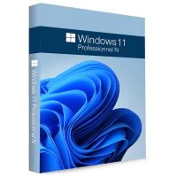 Microsoft Windows 11 Professional N